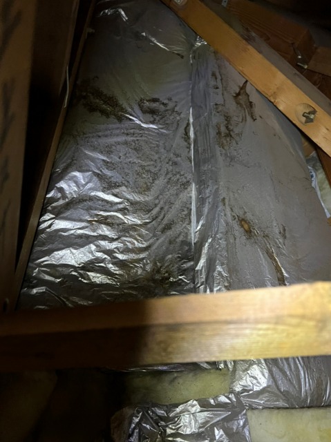 屋根裏の断熱材